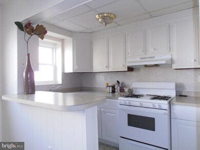 7111 Clover Ln, Upper Darby, PA 19082 - photo 5