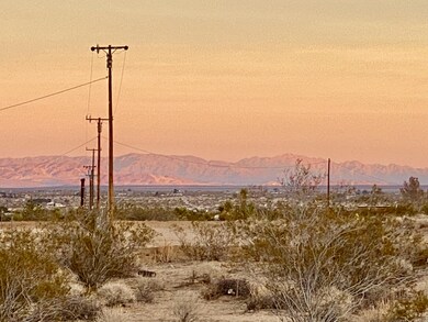 IMG_8215