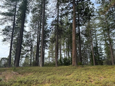 164 Vireo Way, Arnold, CA 95223 - photo 4