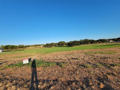 4004 Margaret's Meadow, Weatherford, TX 76087 - photo 4