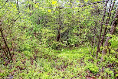 TBD High Hemlock Trail unit 46, Brevard, NC 28712 - photo 4