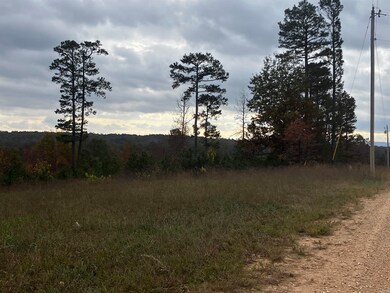 1300 Qmc Rd, Mountain View, AR 72560 - photo 6