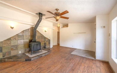 865 Silver Creek Rd, Idaho Springs, CO 80452 - photo 6