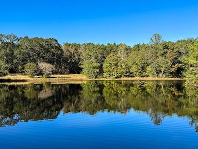 000 Big Woods Rd, New Waverly, TX 77358 - photo 6