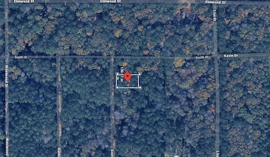 Scott St, Brandon, MS 39042 - photo 3