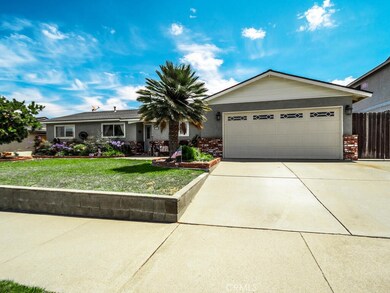 LOOKS LIKE A PICTURE