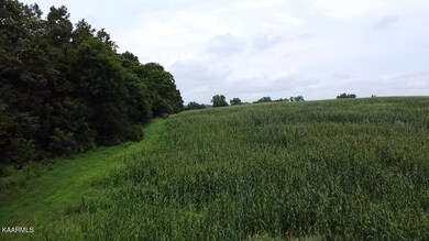 0 Clark Rd unit 1209395, Rutledge, TN 37861 - photo 4