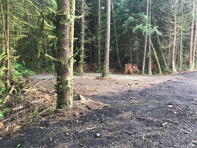 19317 52nd Ave NW, Stanwood, WA 98292 - photo 5