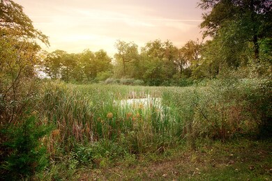 4351 Willard Ln, Lowell, IN 46356 - photo 6