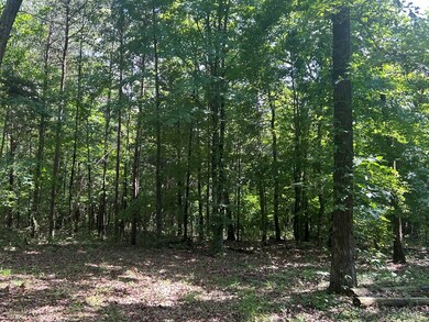 0 Coal Road Loop unit 117464, Crofton, KY 42217 - photo 5