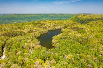 DJI_0334