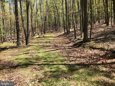 120 Needmore Rd, Baker, WV 26801 - photo 7