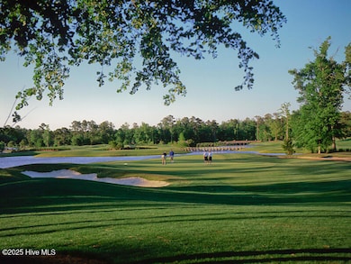 5.BigCatsGolfCourse.ORP