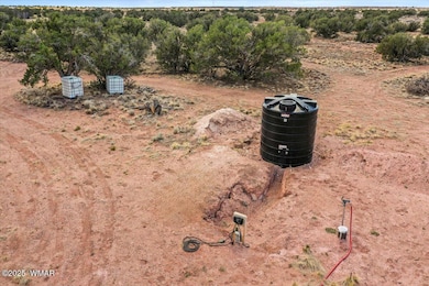 8804 Johnson Hill Trail, Snowflake, AZ 85937 - photo 3