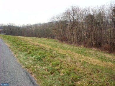 0 Dreibelbis Station Rd unit 1004178508, Lenhartsville, PA 19534 - photo 6