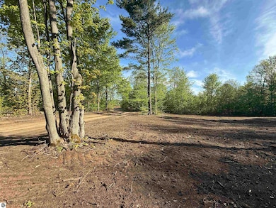 1155 E Solaris Way, Maple City, MI 49664 - photo 3