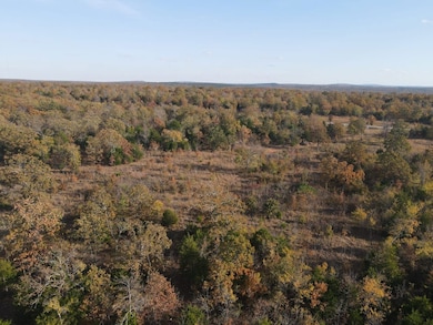 323 Brooken Mtn Rd, Stigler, OK 74462 - photo 7