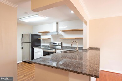 20305 Grazing Way, Montgomery Village, MD 20886 - photo 7