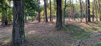 0 Koepp Rd, Madisonville, LA 70447 - photo 4