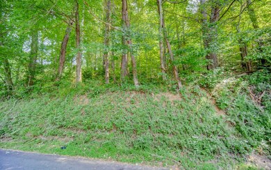 Additional View