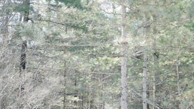 0 W Lincoln St, Brohman, MI 49312 - photo 6