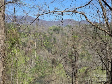 00 Riverside Dr unit 33/34, Whittier, NC 28789 - photo 6