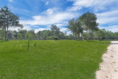 4611 Cottonwood Run, Alvin, TX 77511 - photo 4