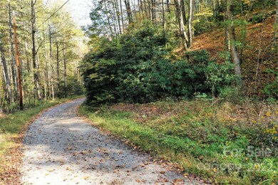 VL25 Mountain Forest Rd, Sylva, NC 28779 - photo 6