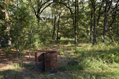 460816 E 1109 Rd, Sallisaw, OK 74955 - photo 5