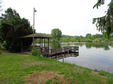 DSC06001