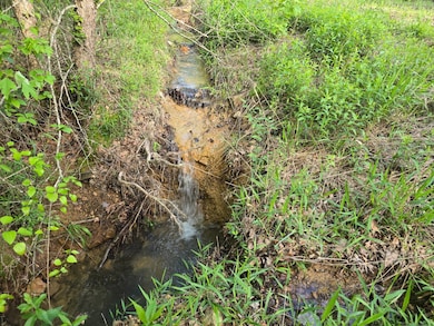 TR 21&22 Pine Tree Trail, Albion, OK 74571 - photo 3