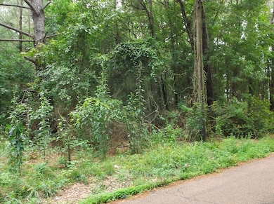 534 11th St, McComb, MS 39648 - photo 3