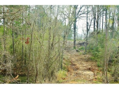 0 Ralph Cotton Rd unit 2052763, Pine Prairie, LA 70438 - photo 2