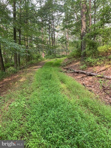 LOT 81 Cressida Dr, Valley, WV 25427 - photo 3