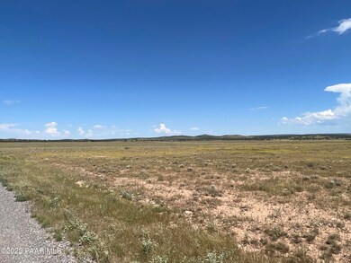 S2 228 Off of Route 66, Ash Fork, AZ 86320 - photo 5
