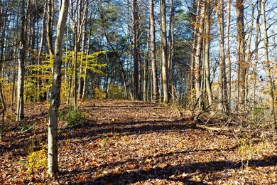 Build Site