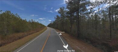TBD Joyner Swamp Rd unit Lot 7A, Galivants Fry, SC 29544 - photo 4