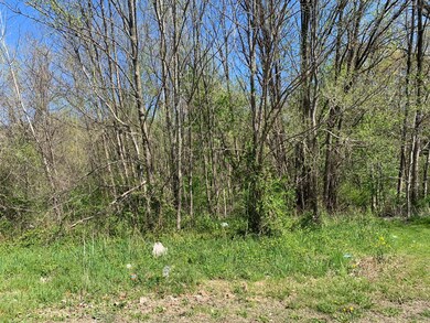 0 Sawyer Rd unit 21014800, Sawyer, MI 49125 - photo 2