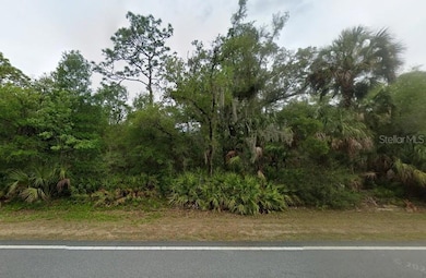 9850 W Dunnellon Rd unit 1, Crystal River, FL 34428 - photo 2