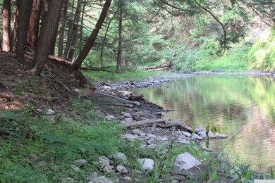 795 New Forge Rd II, Taghkanic, NY 12521 - photo 4