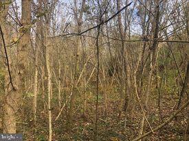 15 ACRES River Rd, Unger, WV 25411 - photo 7