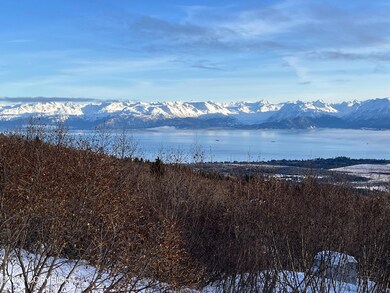 Stunning View!