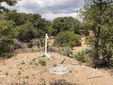 00 Fontaine Rd, Fort Garland, CO 81133 - photo 3