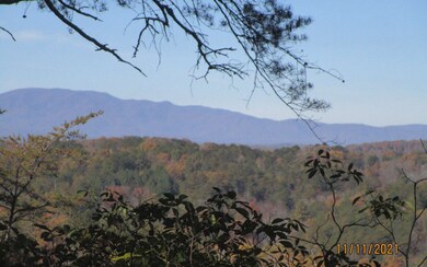 0 Dean Rd unit 311867, Mineral Bluff, GA 30559 - photo 2