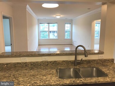 Dominion Heights unit 202, Arlington, VA 22207 - photo 4