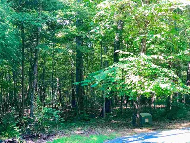 Lot 4 Arcadia Ln, Pittsboro, NC 27312 - photo 2