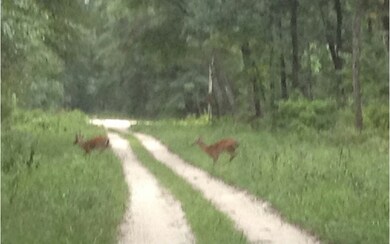 0 Reno Way unit 91449, Fort White, FL 32038 - photo 3