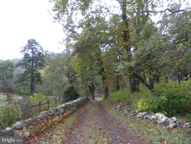 362 Old Hollow Rd, Sperryville, VA 22740 - photo 4