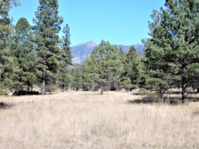 2 acre parcel 7