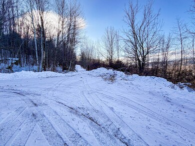 L46.111 Panarama Ln, Windham, NY 12496 - photo 5